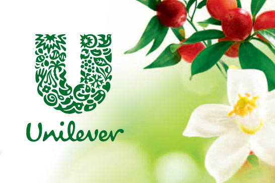 Unilever Sell Sheets